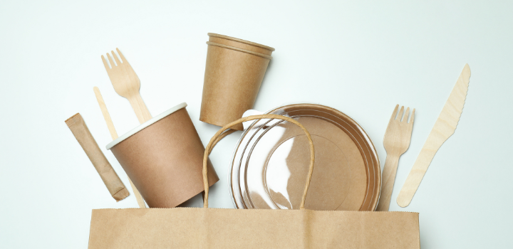 Wat zijn single use plastics?