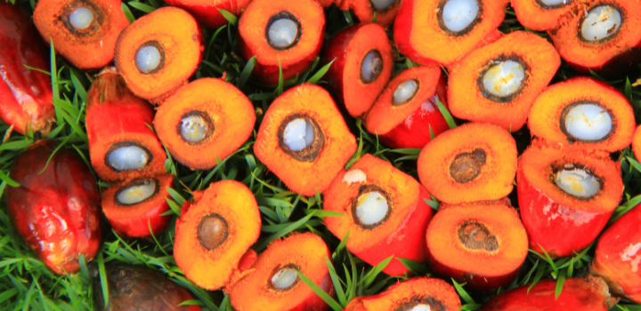 Waar staat het RSPO keurmerk voor?