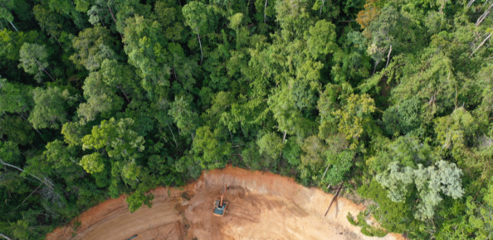 Ontbossing: Wat is het precies?