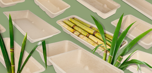Ontdek onze eigen serie plasticvrije suikerriet snackbakjes