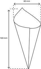 takeaware.nl Puntzakken Houten puntzak 160mm groot BIO
