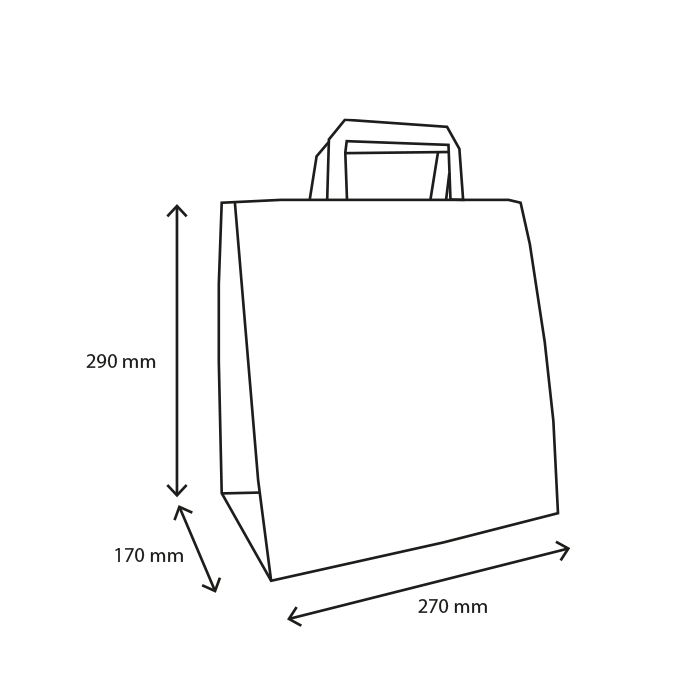 TakeAware.nl Papieren tassen Middel bubbles 80 gr. 27+17x29cm