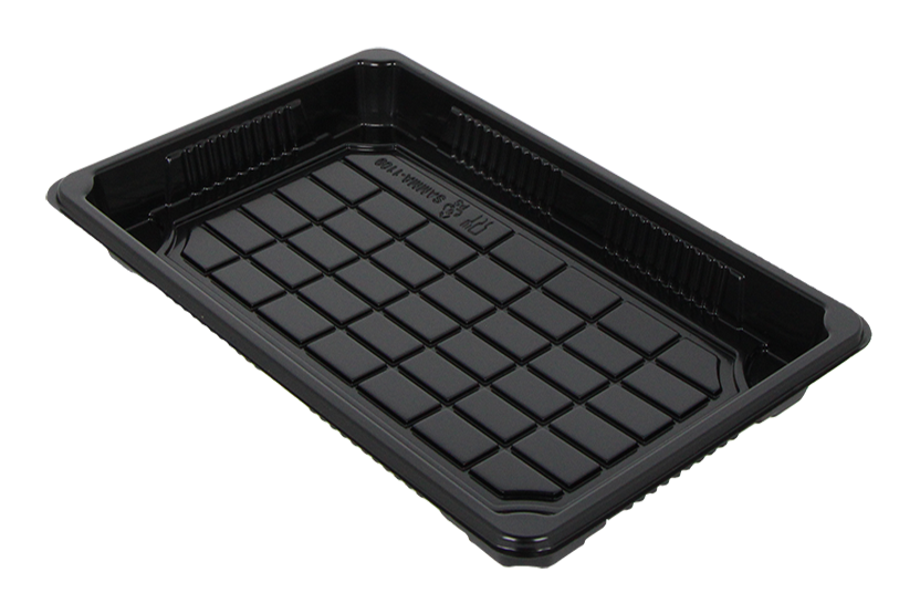 Sushitray + lid 240x150x25mm Combi Box Family-1 Black