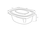 takeaware.nl Saladebakken en bowls Saladebakje met klapdeksel 500 ml BIO